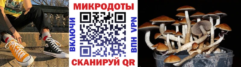 Галлюциногенные грибы Magic Shrooms  Купить  Рославль 